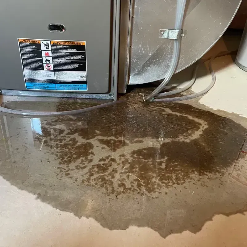 Appliance Leak Cleanup in Tomball, TX